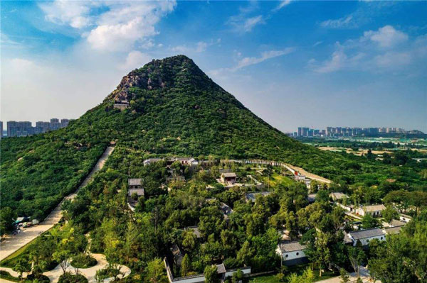 5dd79587a2647.jpg 1.jpg